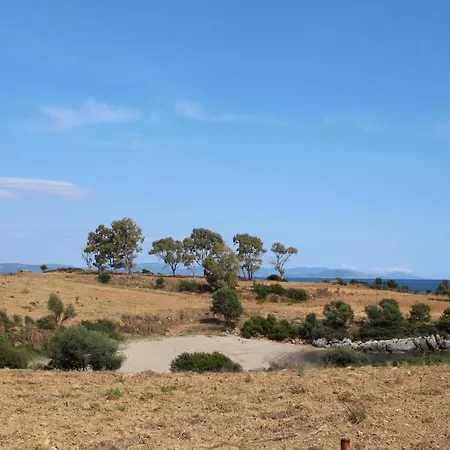 Alexia Σελινίτσα